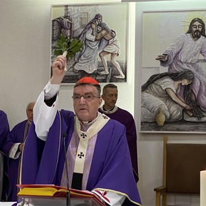 Kardinal Bozanić blagoslovio vitraj "Povijest spasenja" u Župi sv. Leopolda Mandića, Ljubljanica - Voltino